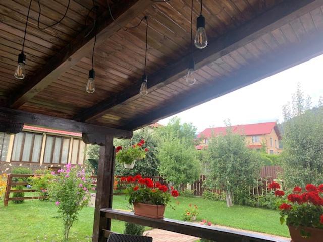 Vila Rolizo Braşov Esterno foto